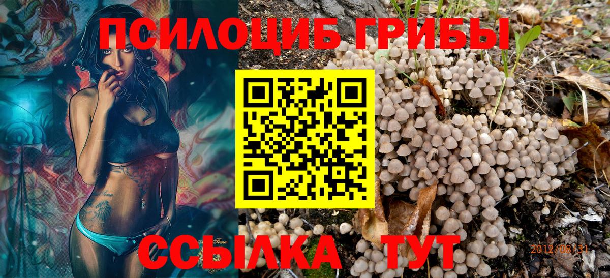 Азнакаево  Галлюциногенные грибы Psilocybine cubensis  Галлюциногенные грибы Magic Shrooms  Вход с VPN 