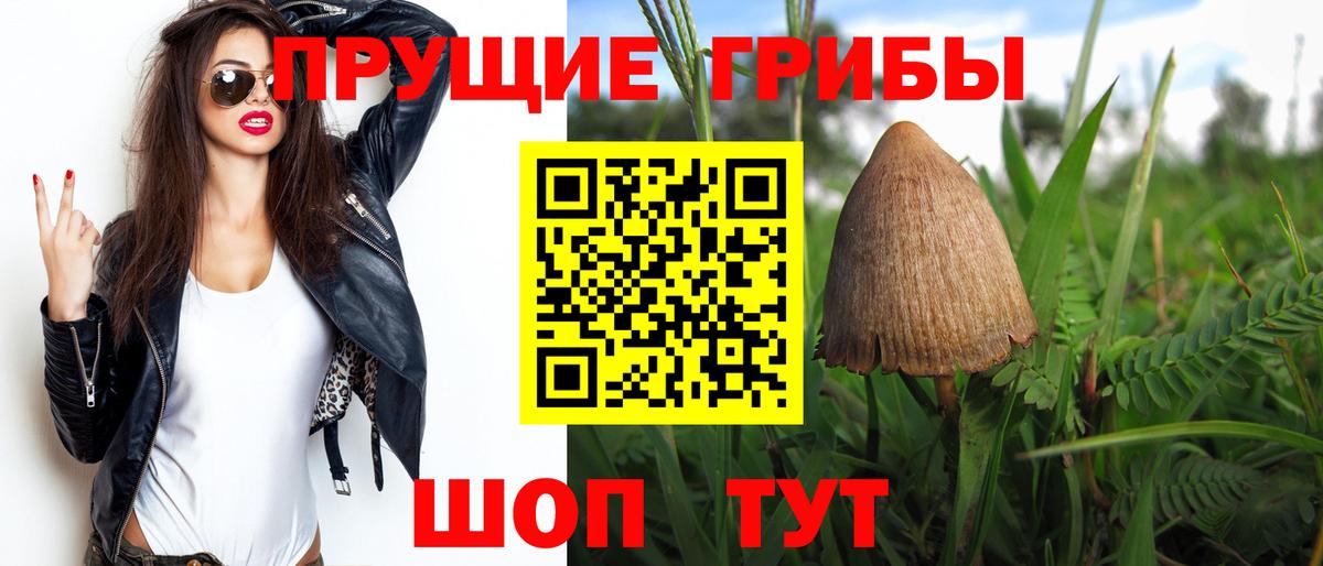 Галлюциногенные грибы Psilocybine cubensis Азнакаево
